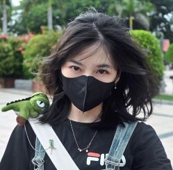 -飞梵造型