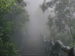 -梧桐山风景名胜区