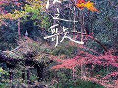 -虎跑公园