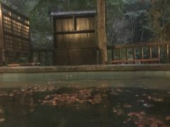 -宁海森林温泉