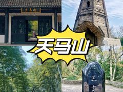 -上海佘山国家森林公园天马山园