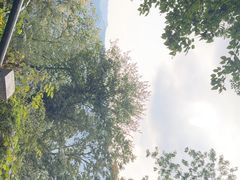 -灵顺寺