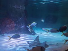 -沈阳海洋探索中心