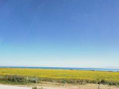 -青海湖国家重点风景名胜区