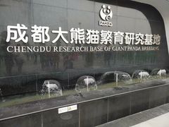 门面-成都大熊猫繁育研究基地