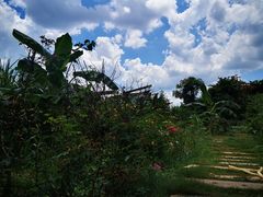 -园林美食城·本土农家菜(杨和镇店)