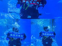 -沈阳海洋探索中心