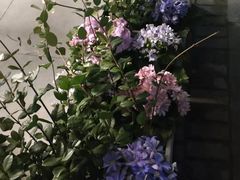 -东吴水韵(吴中店)