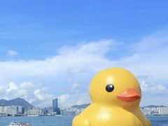 -深圳湾公园(南山区)