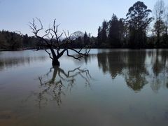 -黑龙潭公园