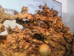 -烟台自然博物馆