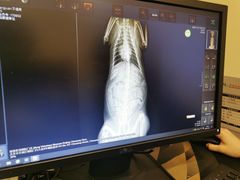 -萌兽医馆·犬猫专科·眼科中心·宠物医院(朝阳门分院)