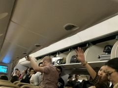 -新加坡航空公司(ION)