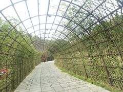 -常德桃花源景区