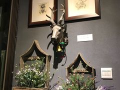 -咖法森林·咖啡  酒吧(天河店)