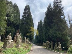 -武陵山森林公园