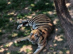 -西霞口神雕山野生动物世界