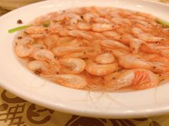 -中国饭店-餐厅