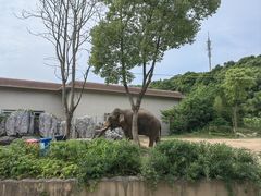 -宁波野生动物园