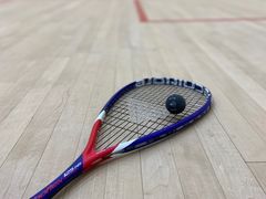 -健身专家Wellness Experts