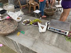 -美家乐农庄·露营·团建(大治路店)