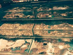 水产区-比尔斯健康烤肉自助餐厅