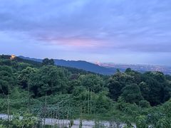 -金水泊山庄·花椒鸡(铁山坪店)