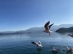 -丽江泸沽湖景区