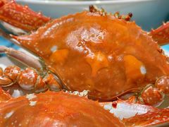 -北塘海鲜·天津菜(大光明桥旗舰店)