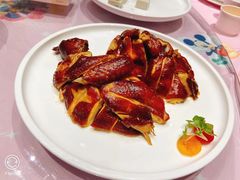 -沪碟·精菜坊(闵行店)