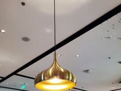 大堂-羲和雅苑•北京烤鸭(乐园道万象城店)