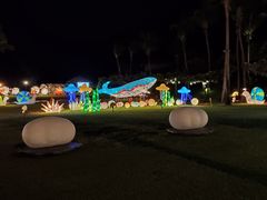 -三亚亚龙湾天域度假酒店