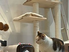 -黑胶星球(华发中城商都店)