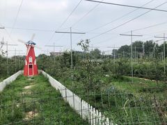 -意大利农场度假村
