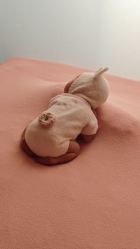 -玛瑞莎孕婴童摄影到家拍