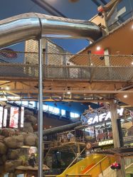 点击看大图 -卡通尼·Safari非洲探索乐园·生日会(金桥国际商业广场店)