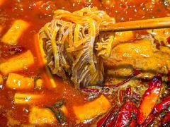 -阳阳老火锅(小南门店)