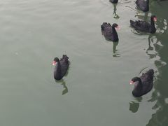 -泉城欧乐堡梦幻世界