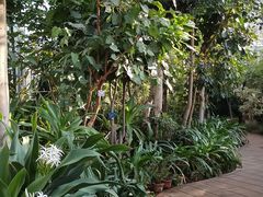 -国家植物园南园