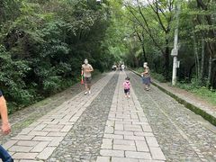 -紫金山山顶公园