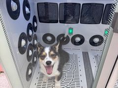 -FAELING PETS美天灵宠物(富力广场店)