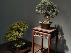-捞天下大众火锅(水上公园店)