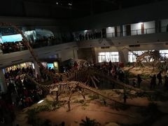 景点-自贡恐龙博物馆