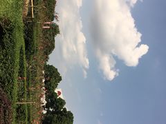 -紫马岭游泳馆