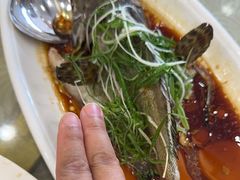 -湛江渔港·大排档(乐园路总店)