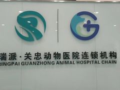 -瑞派·关忠动物医院·异宠专科·犬猫肿瘤·皮肤专科(望京店)