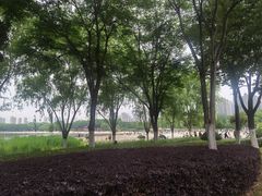 -滨湖塘西河公园