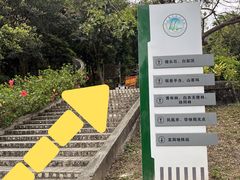 -火炉山森林公园