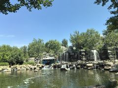 -北京野生动物园