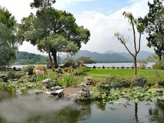 -杭州西湖柳莺里酒店·闻莺厅